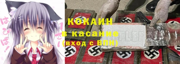 шишки Кинешма